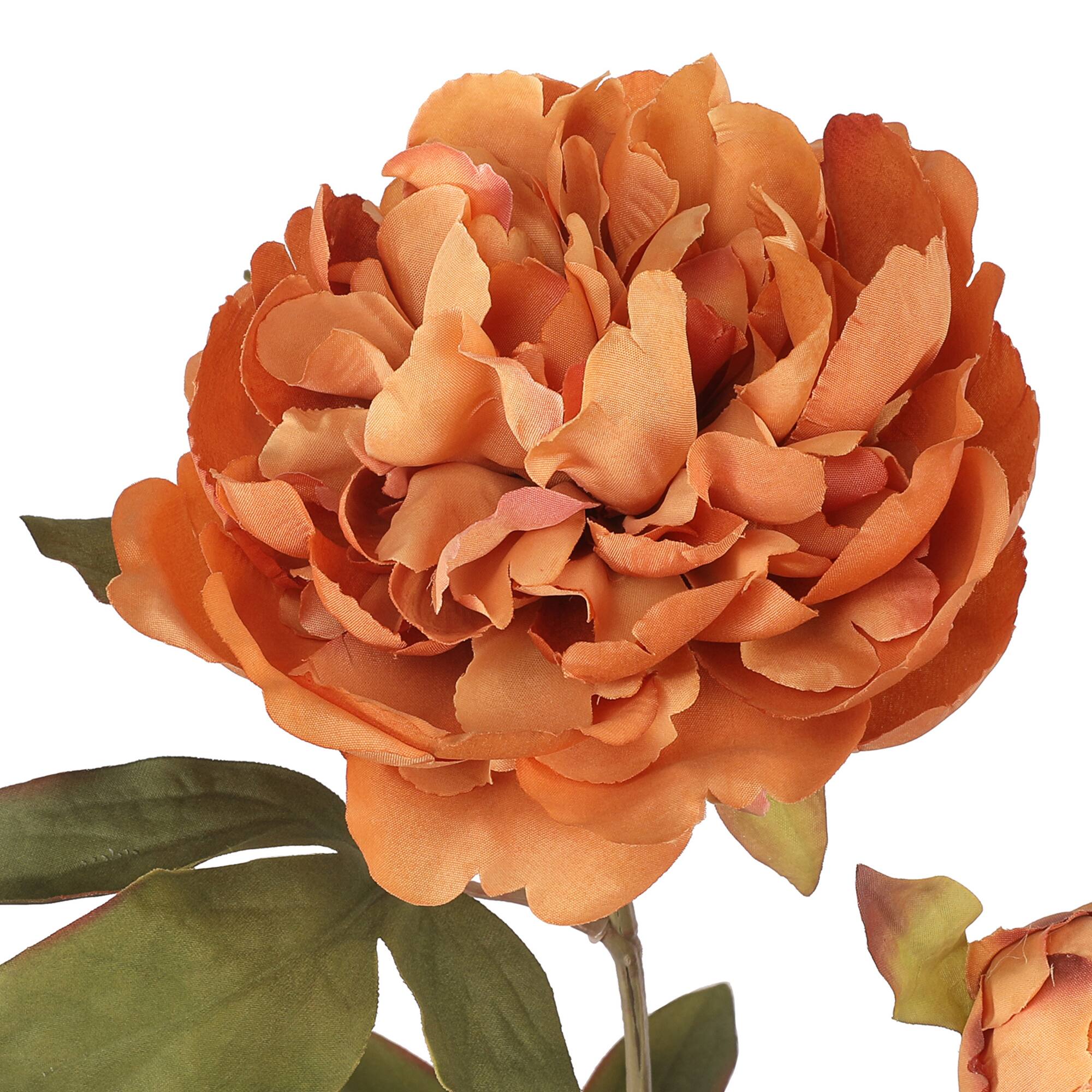 27.5" Brown Peony Stem by Ashland®